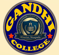 GANDHI COLLAGE